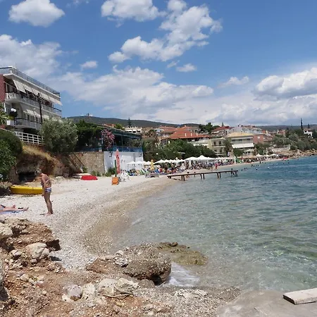 Blue Sky & シロピカド