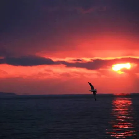 Apartment Blue Sky &